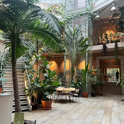 Pronájem kanceláře 320 m² Záhřebská, Praha - Vinohrady